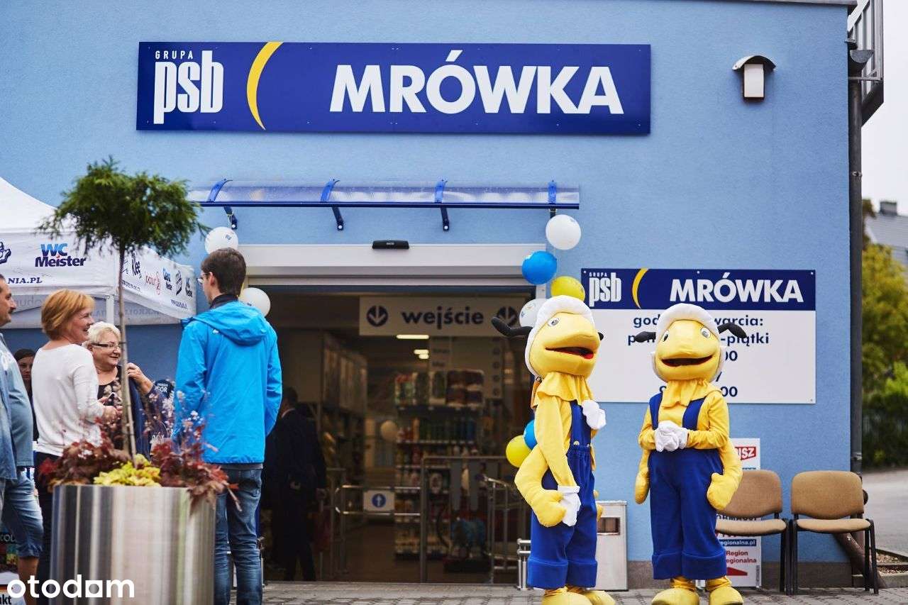 Market Budowlany Mrówka Dom i Ogród Żary sprzedam lub wynajmę - Pełny obrazek: 5/12