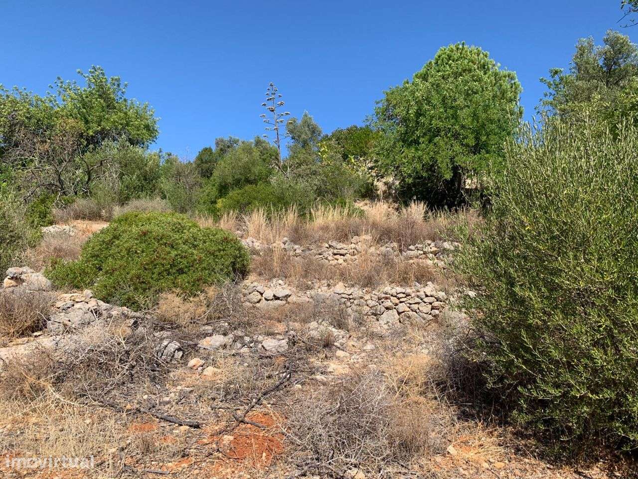 Terreno Urbano, com 3 artigos, Colmeal-39