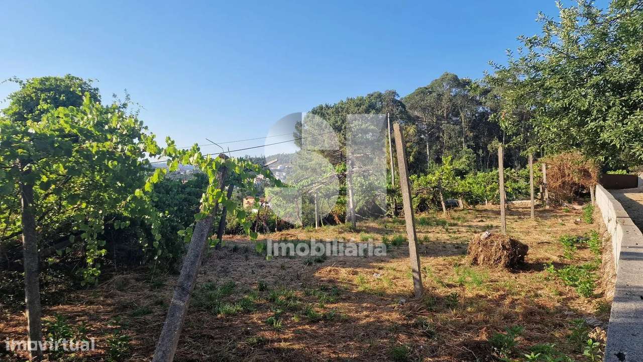 Terreno - potencial de investimento - Astromil - Paredes-5