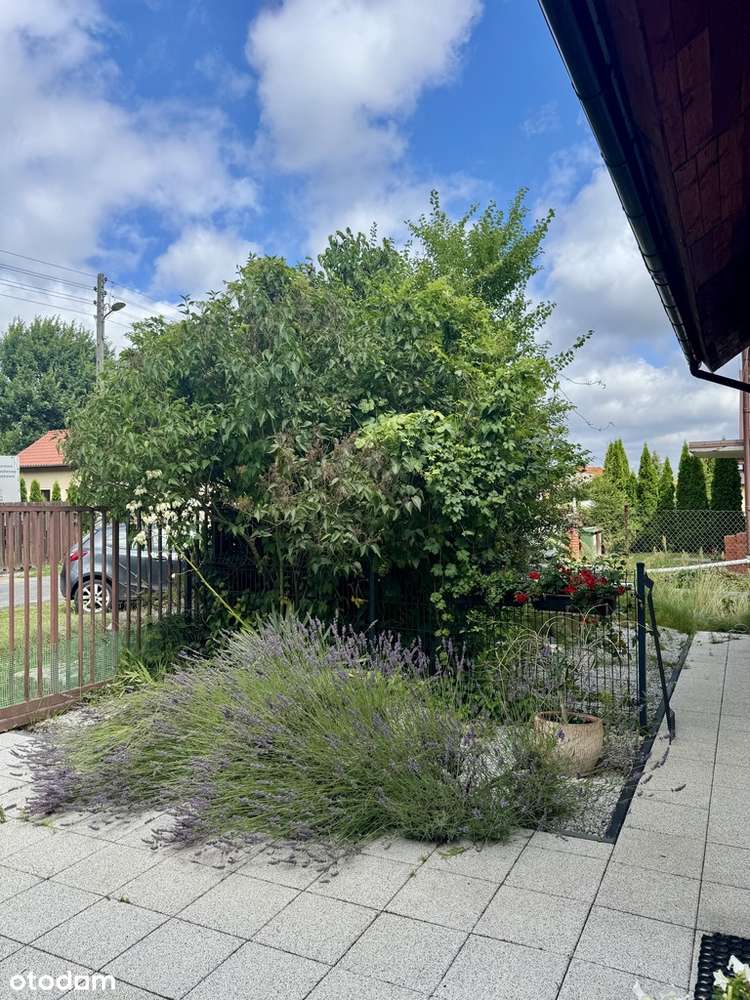 Starołęka, dom wolnostojący, duża działka - Pełny obrazek: 4/20