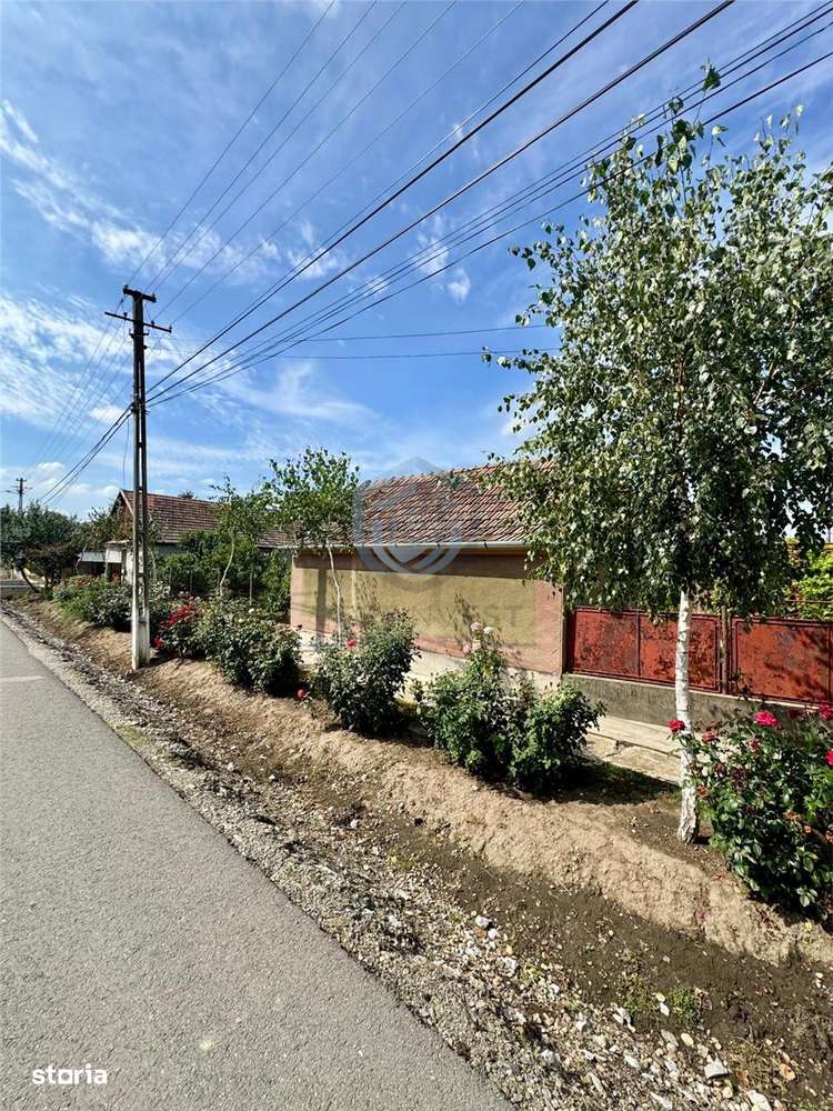 Casa cu 4 camere si livada la 35 km de Oradea - Imagine principală: 2/18