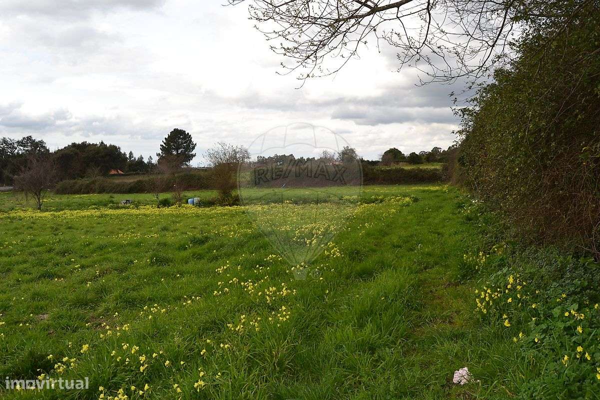 Terreno  para venda - Grande imagem: 3/13