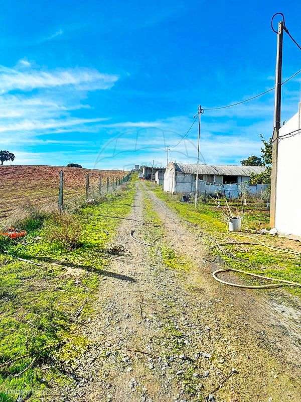 Quinta  para venda-24