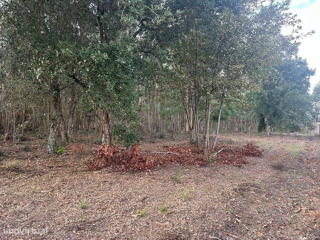 Terreno  para venda - Grande imagem: 5/12