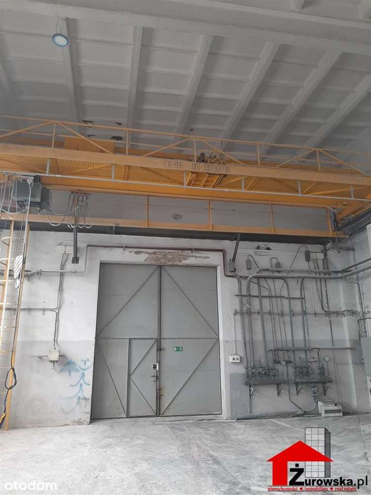 Lokal użytkowy, 74 000 m², Gliwice - Pełny obrazek: 5/15