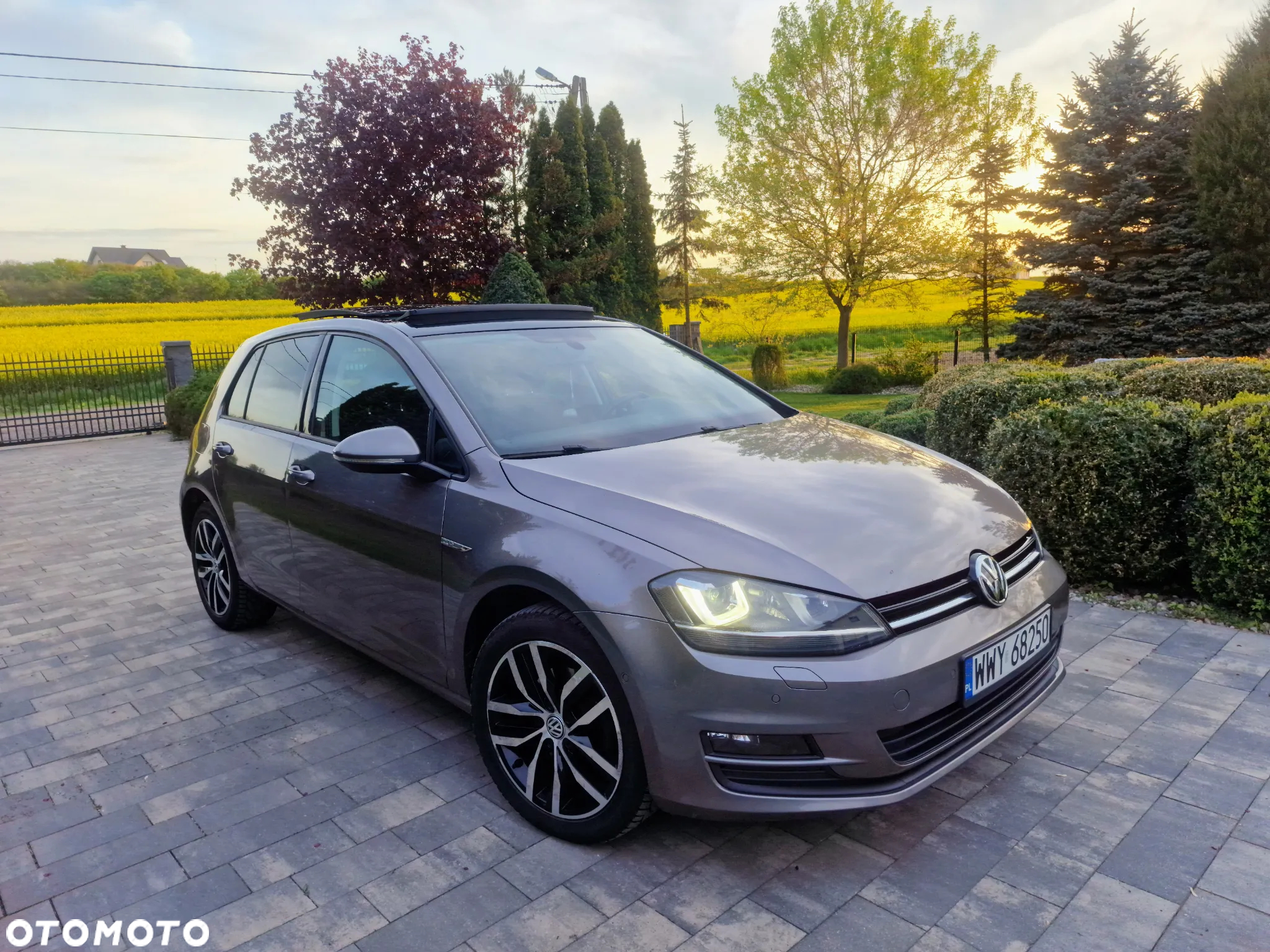 Volkswagen Golf 1.6 TDI BlueMotion Technology Cup - 4