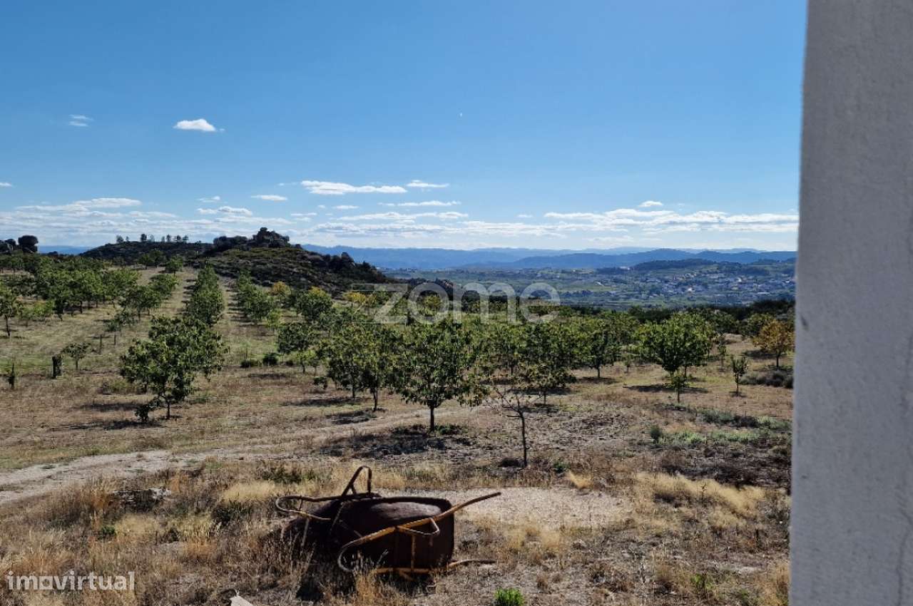 Terreno, 149 500 m², Alijo - Grande imagem: 4/28