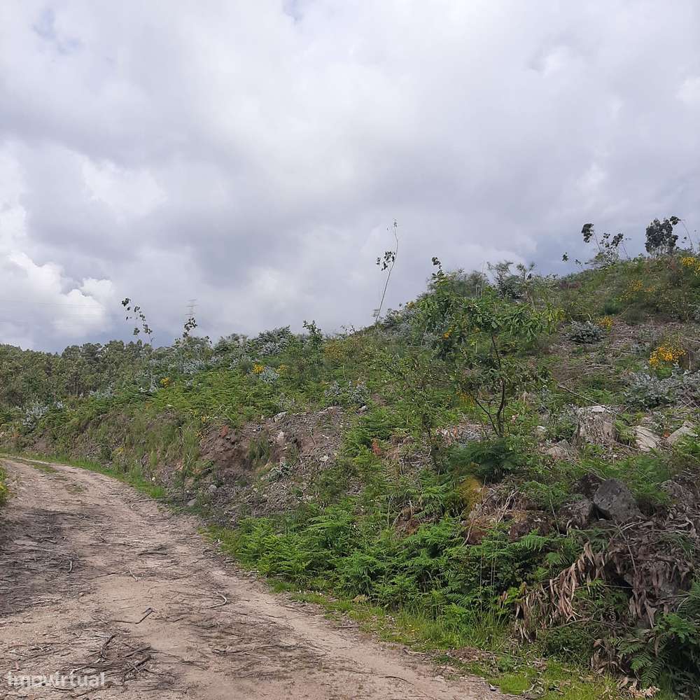 Terreno Rans Penafiel - visão e valorização a médio e longo prazo-14