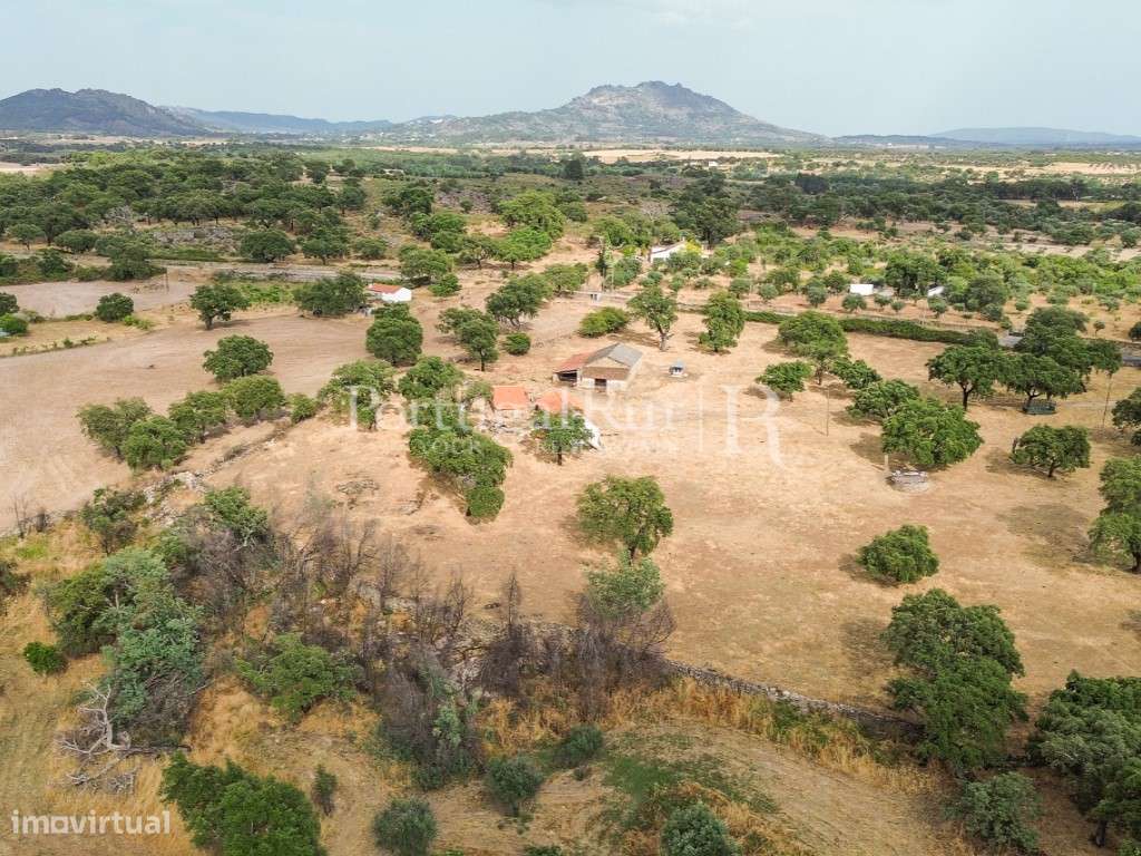 Quintinha de 1.8 hectares em Medelim-27