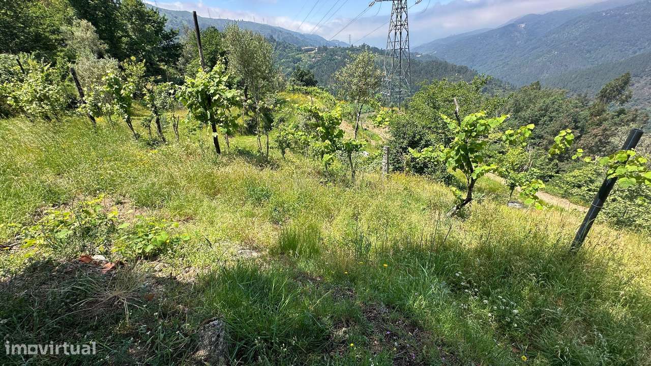 O Refúgio Perfeito no Topo do Gerês: Onde o Silêncio Encontra a Imens-19