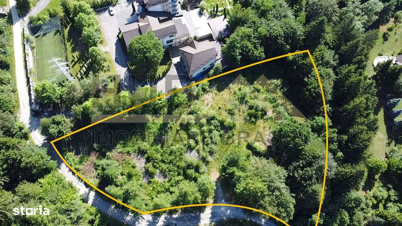 Oportunitate Investitie Teren Dambu Morii | Necesar PUD | Utilitati | - Imagine principală: 3/12