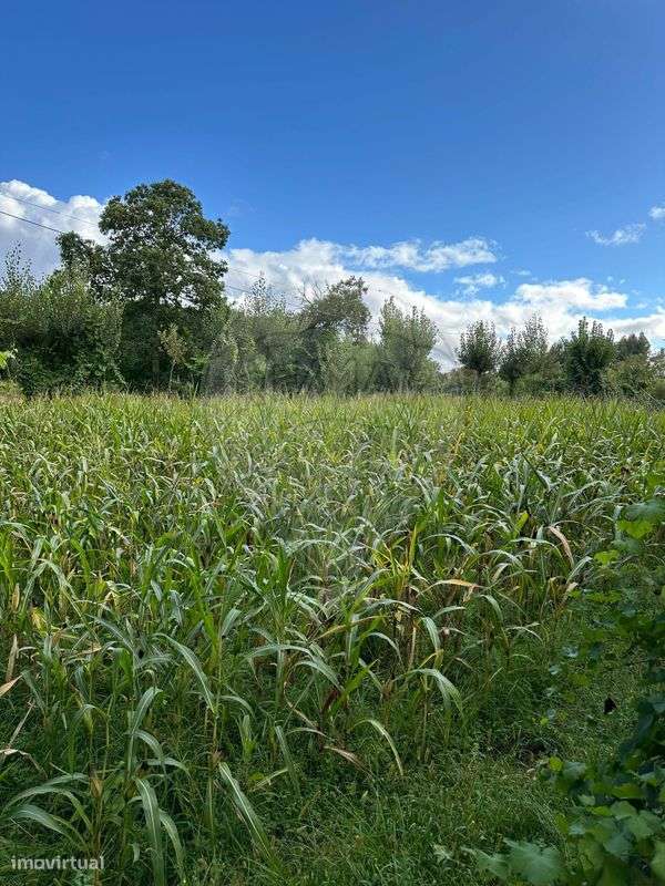 Terreno  para venda - Grande imagem: 5/6