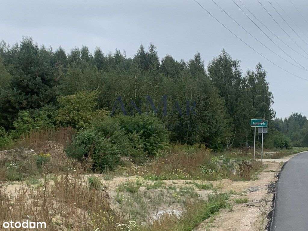 Działka, 11 135 m², Kotorydz-4