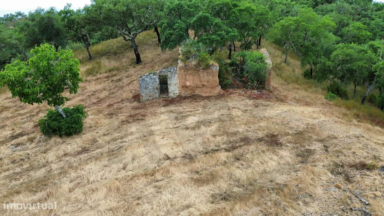 Terreno com Ruína e Potencial de Construção – Privacidade e Natureza a - Grande imagem: 5/16