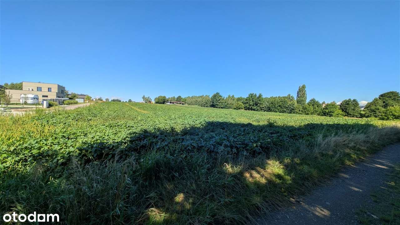 Super działki w cichym miejscu - Gorzyce - Pełny obrazek: 4/5