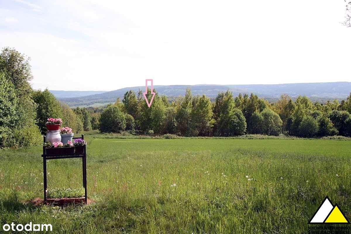 Działka w Grudzy - Pełny obrazek: 4/9