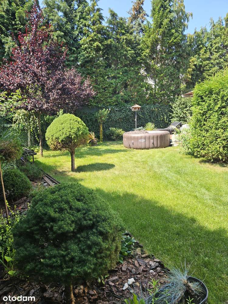 Skrajny segment w  Wawrze - Falenicy. - Pełny obrazek: 5/7