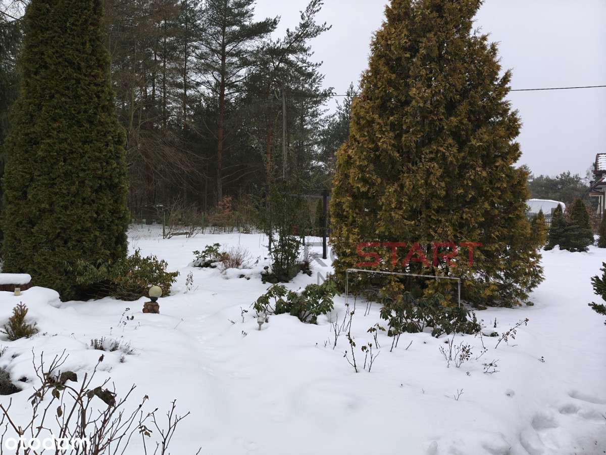 Domek letniskowy na zagospodarowanej działce-4