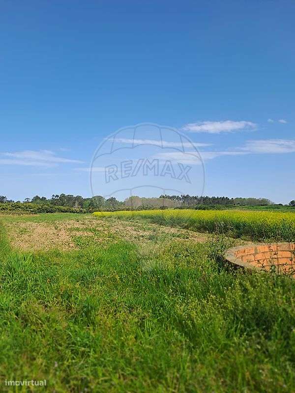 Terreno  para venda - Grande imagem: 2/6