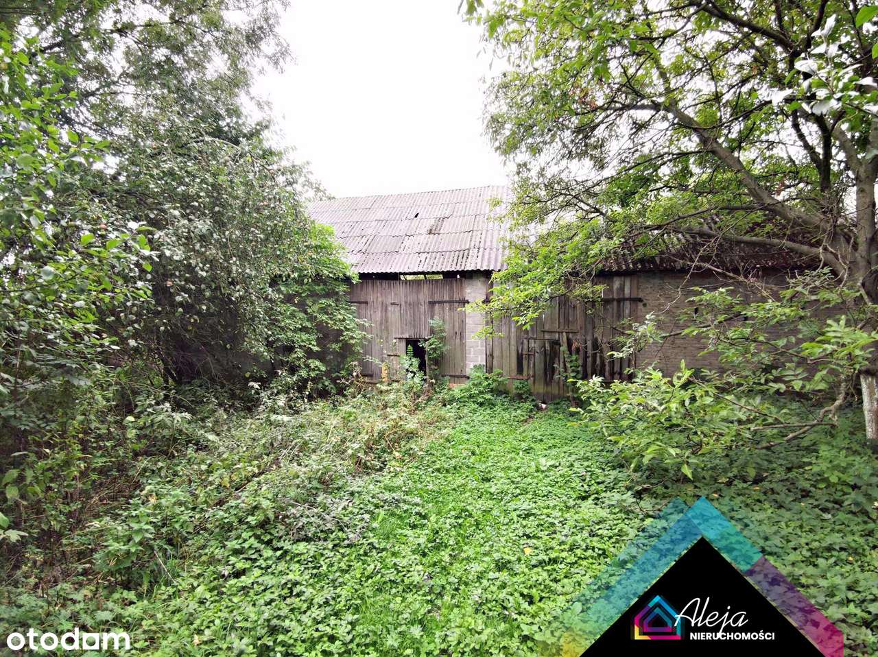 Dom,działka na Jurze! - Pełny obrazek: 4/9