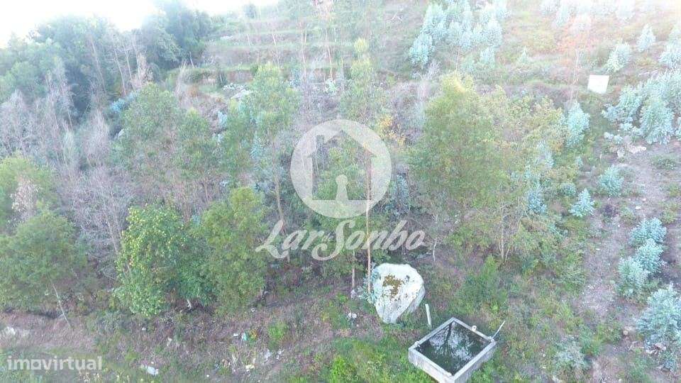 Terreno florestal /agrícola com 13.400m2 em Joane - Grande imagem: 5/7