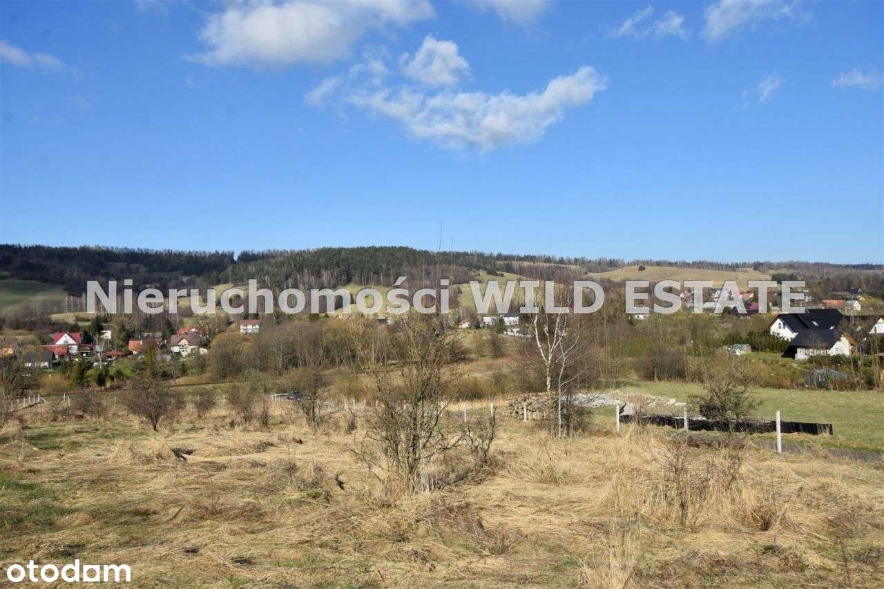 Działka, 5 533 m², Ustrzyki Dolne - Pełny obrazek: 3/7