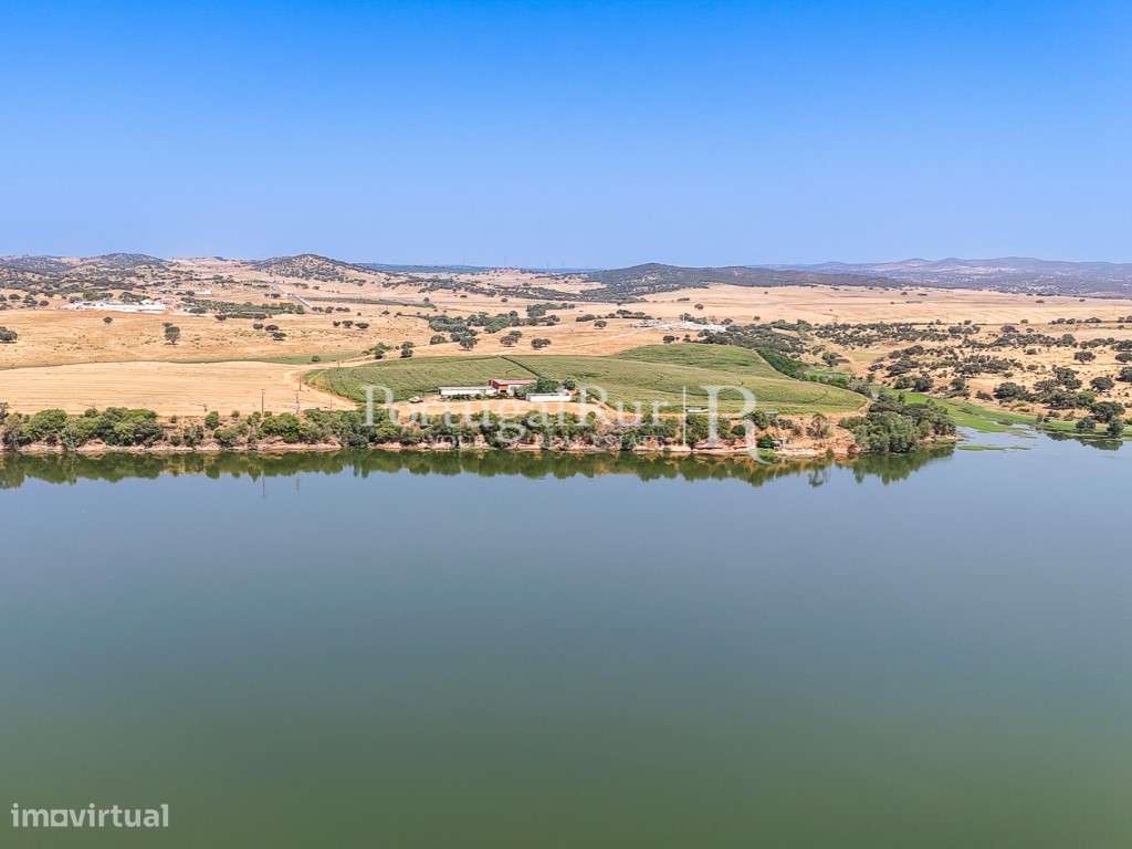Herdade de regadio com 30 hectares em Évora - Grande imagem: 4/45