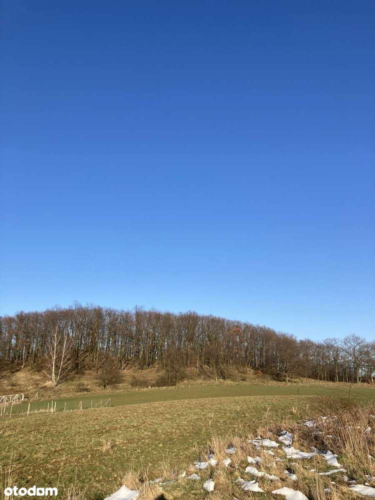 Działka widokowa w Myślinowie, pow. Jawor. - Pełny obrazek: 4/9