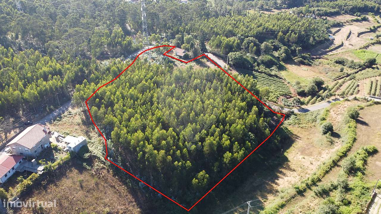 Terreno  para venda - Grande imagem: 2/10