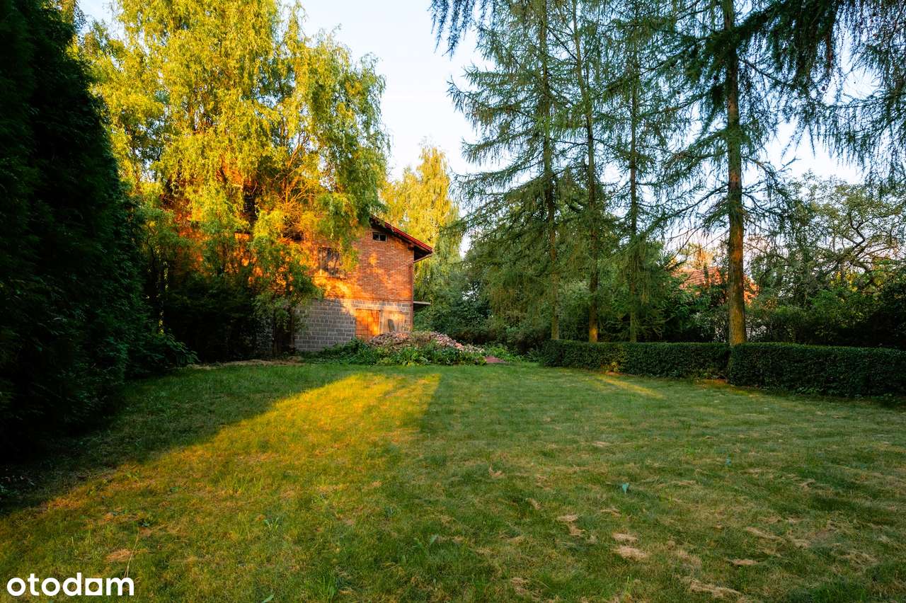 1,11 ha - Więcławice Dworskie, gm. Michałowice - budowlano-rolna - Pełny obrazek: 4/9