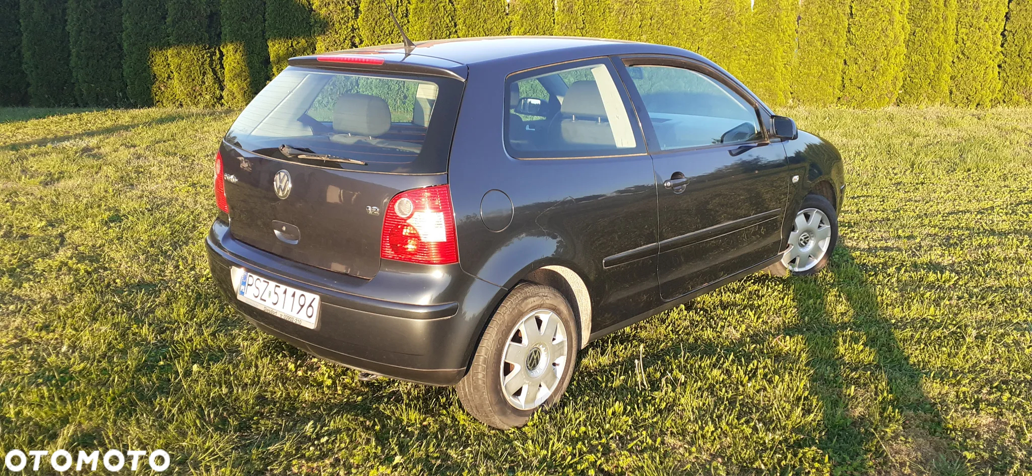 Volkswagen Polo - 4