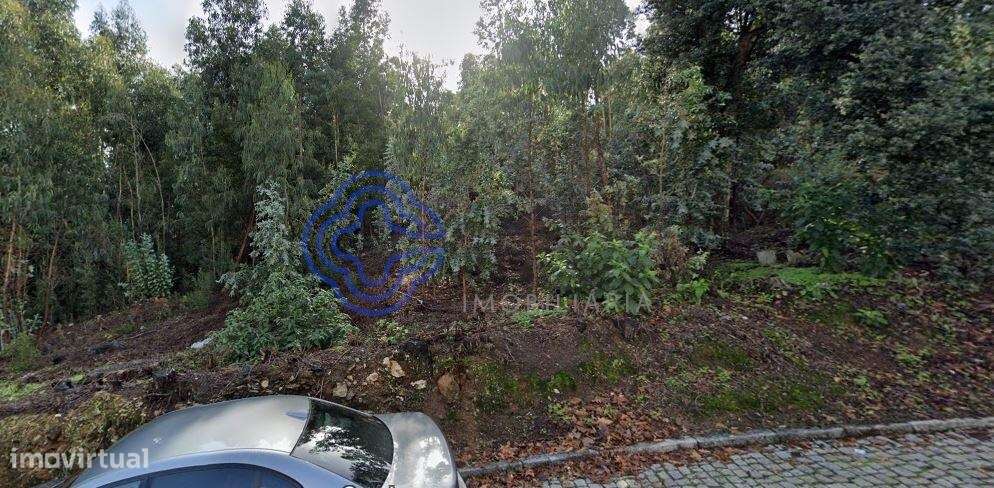 Terreno Rustico Sandim com possibilidade de construção - Grande imagem: 4/10