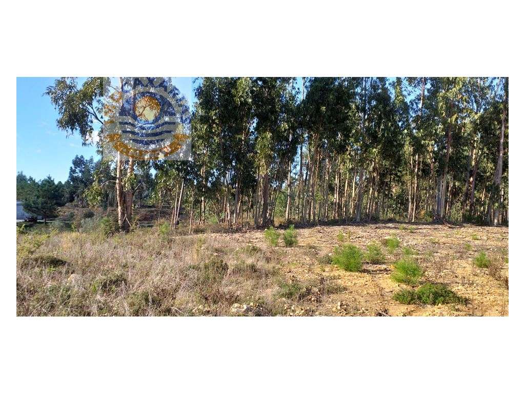 Terreno para Construção - Grande imagem: 2/3