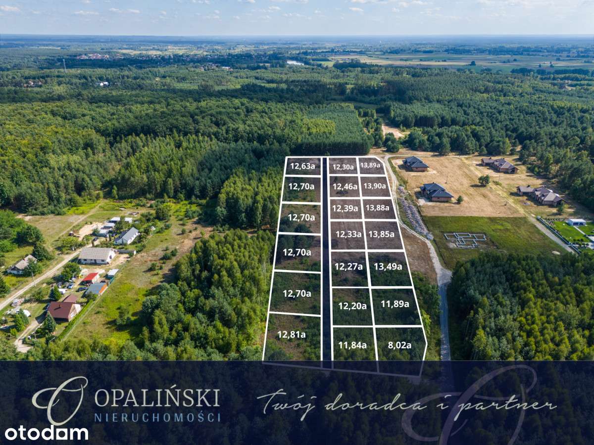 Otoczenie lasu | Cicha okolica | Mpzp | Inwestycja-0