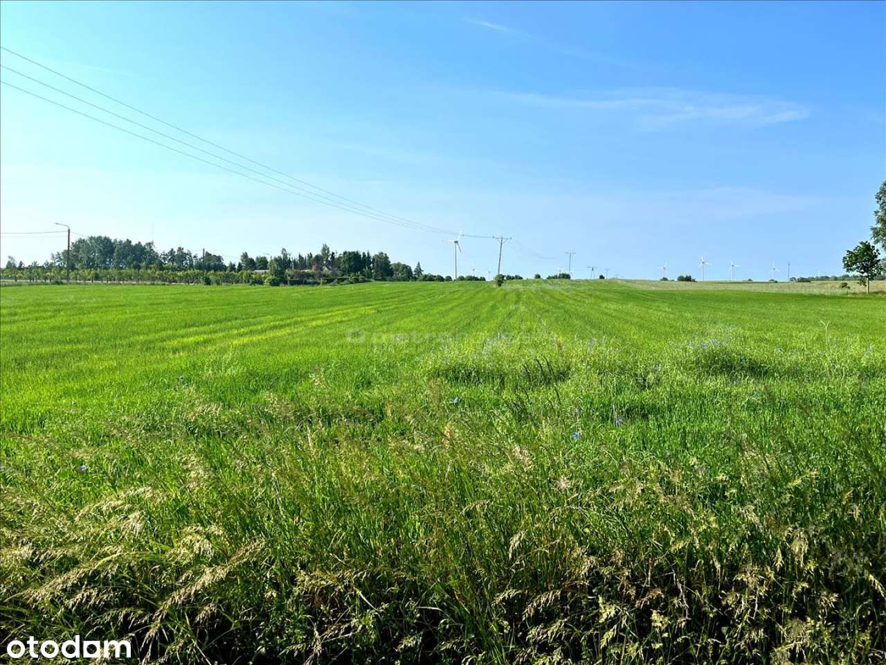 Działka budowlana koło Dygowa blisko Kołobrzegu - Pełny obrazek: 5/13