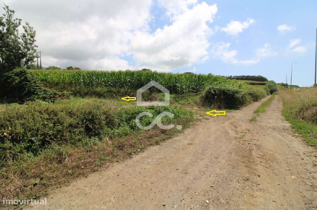 Terreno com 9.700,00 m2 - Santa Cruz - Lagoa - Grande imagem: 4/9