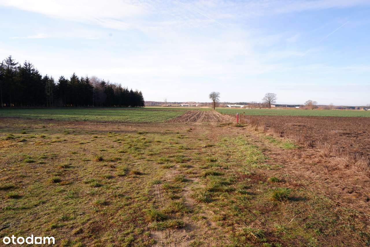 Klimatyczne działki budowlane pod lasem-4