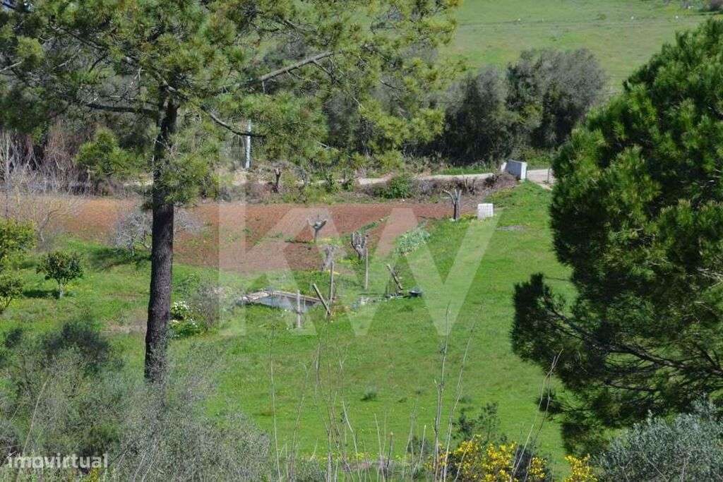 QUINTA COM 4.274,50 M2, COM MORADIA E UM ANEXO EM SANTIAGO DO CACÉM - Grande imagem: 4/20