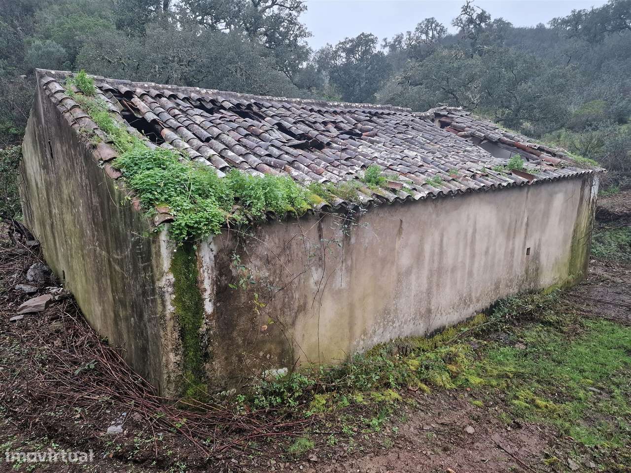 Armazém  Venda em Santa Clara-a-Nova e Gomes Aires,Almodôvar - Grande imagem: 3/10