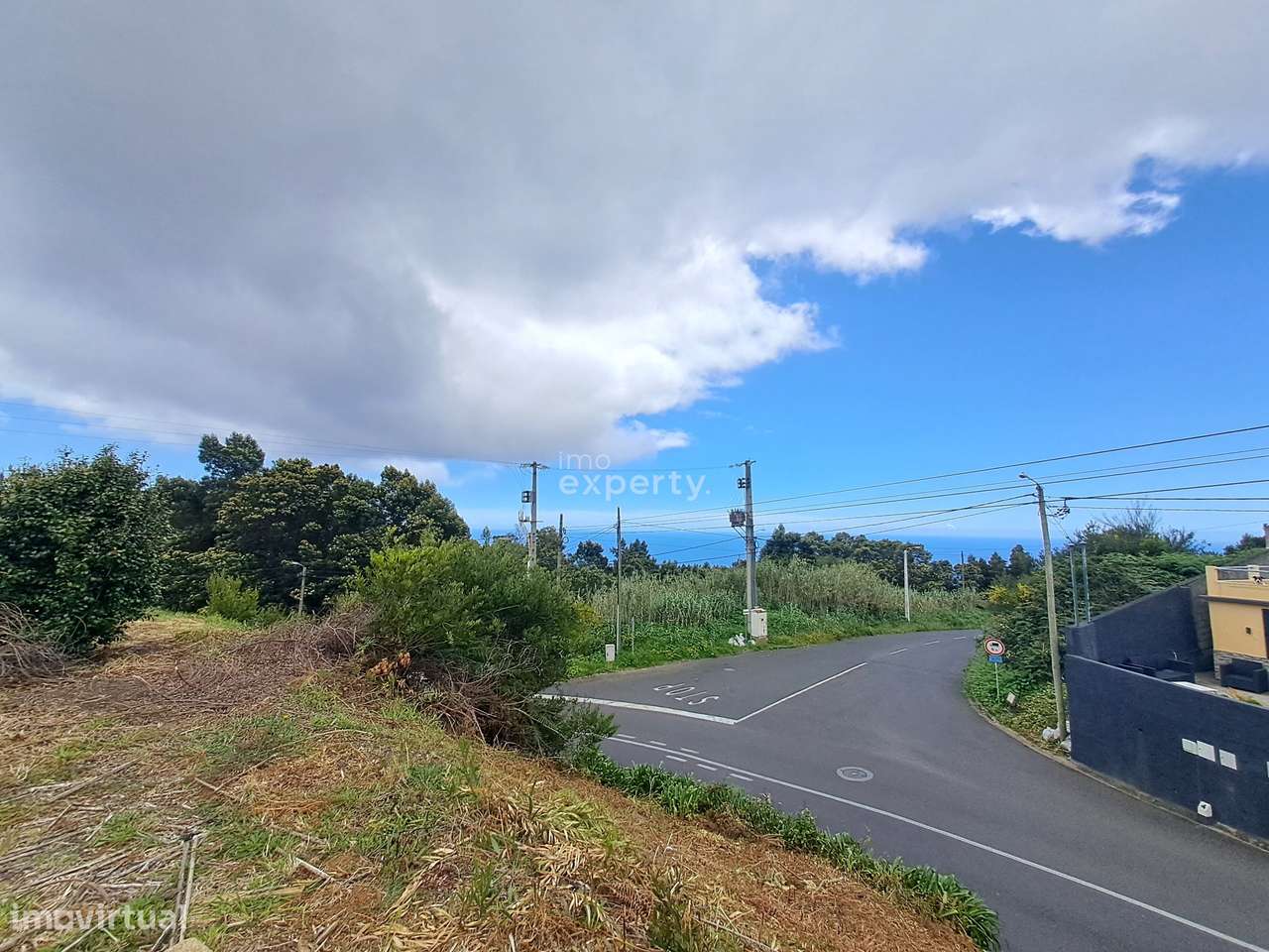 Terreno na Camacha, Ilha da Madeira - Grande imagem: 3/11