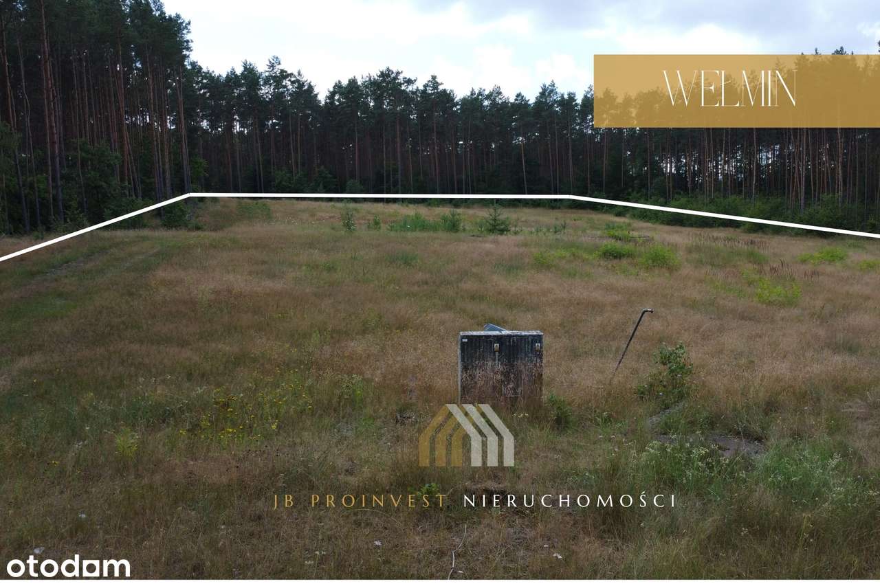 Na sprzedaż działka budowlana – 5687 m² | Wełmin | Piękny widok-6