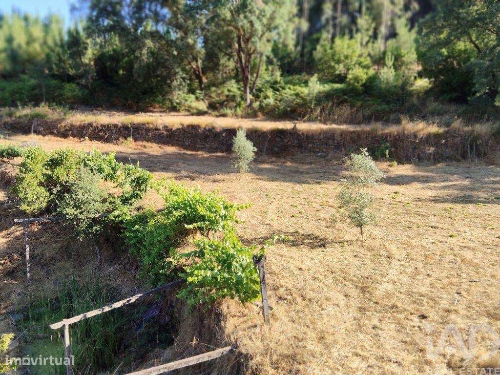 Casa de Campo em Madeirã de 124,00 m2 - Grande imagem: 3/30