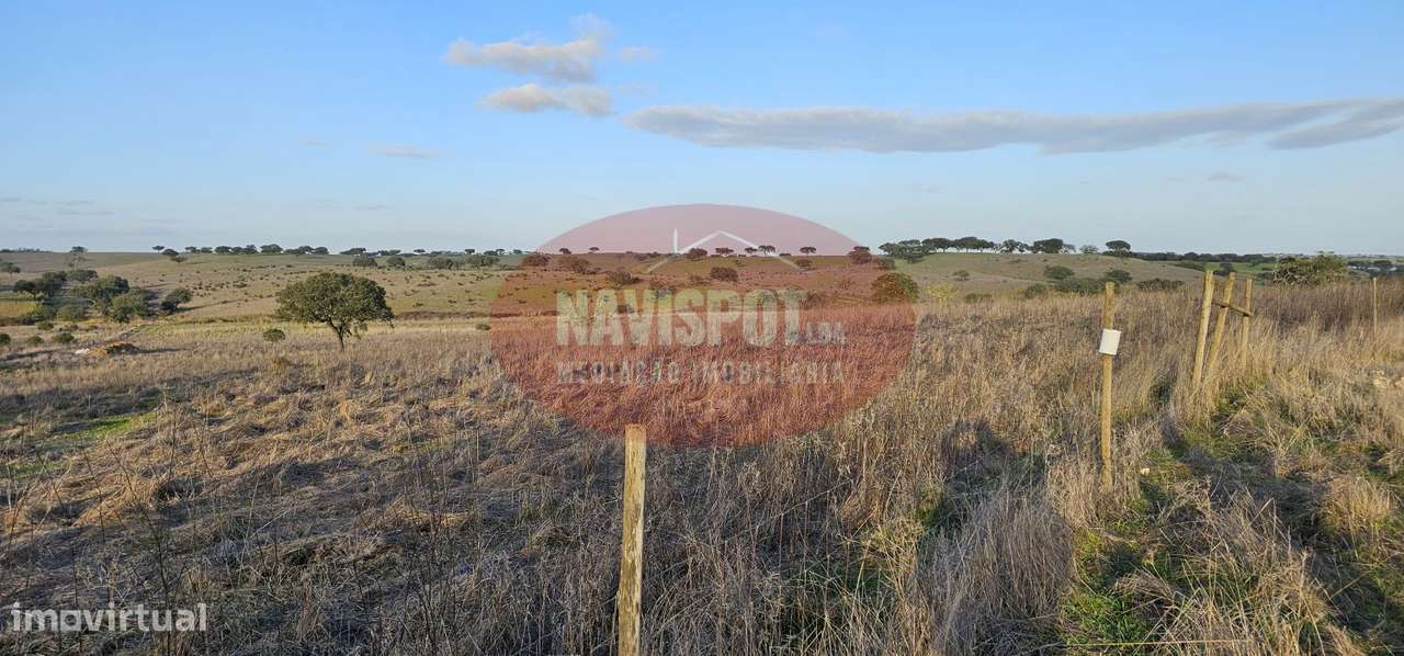 Herdade com 36 ha em Santo António do Baldio-11