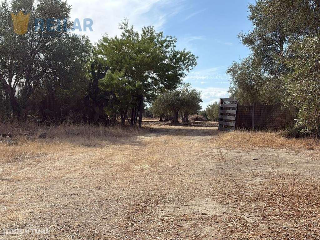 Monsaraz - Terreno 7.375 m2 - Grande imagem: 2/27