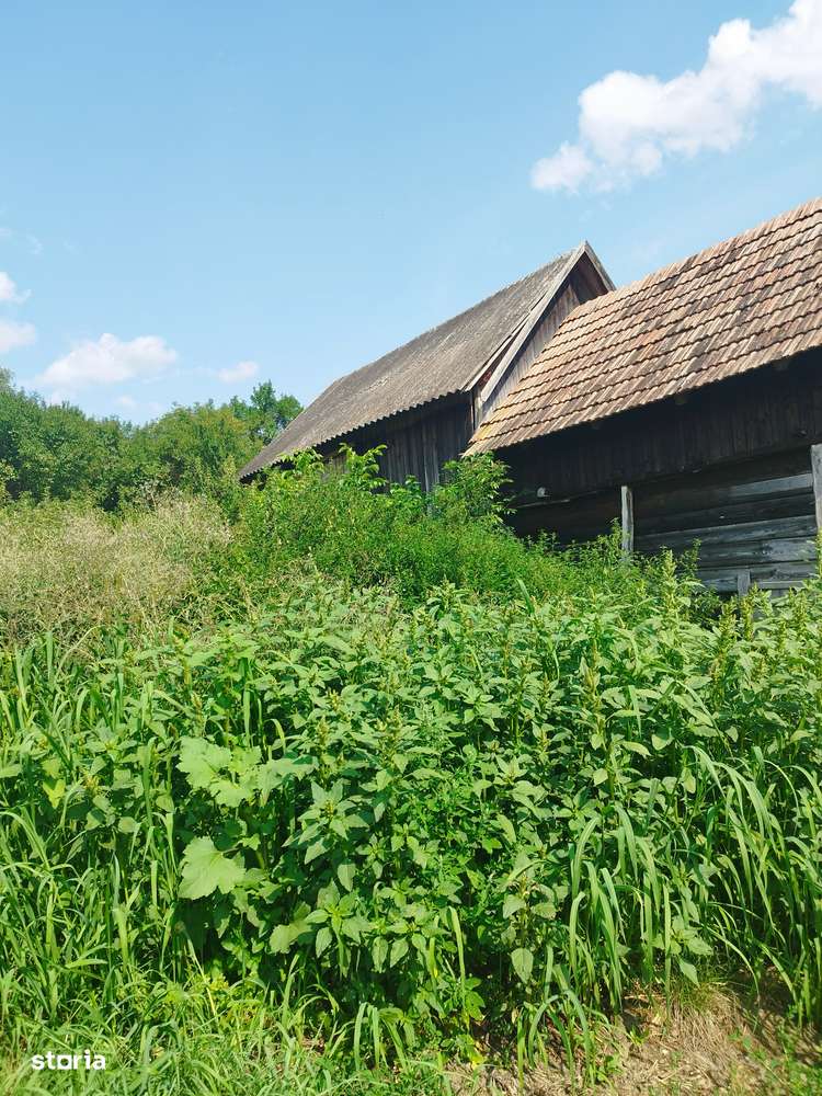 Teren 9700 mp comuna CĂTINA -CLUJ-0