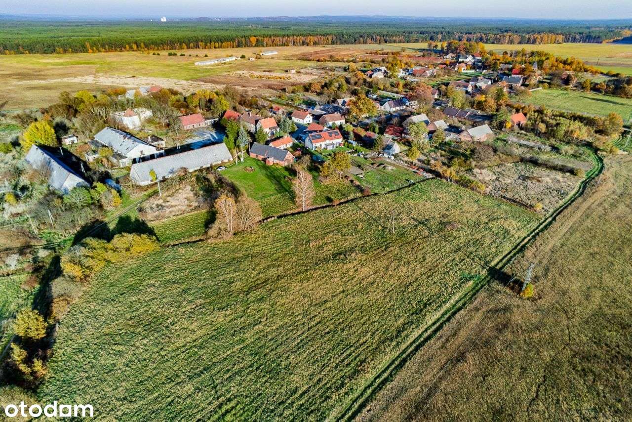 Działka z Domem - Białowice ok 4000 m2-3