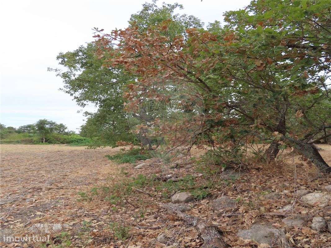 Quinta  para venda - Grande imagem: 2/18