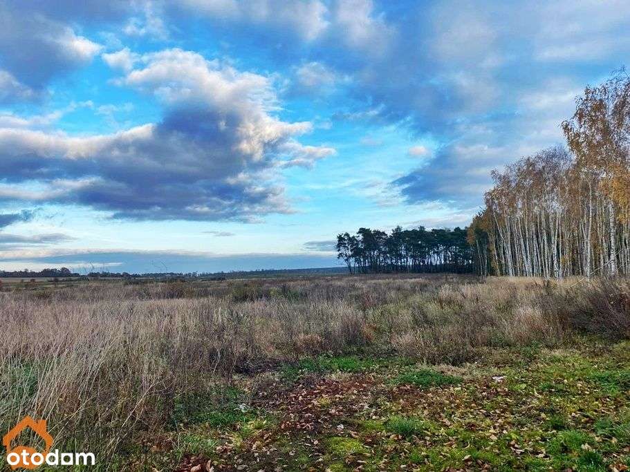 Działka inwestycyjna z pozwoleniem na budowe !!! - Pełny obrazek: 4/11