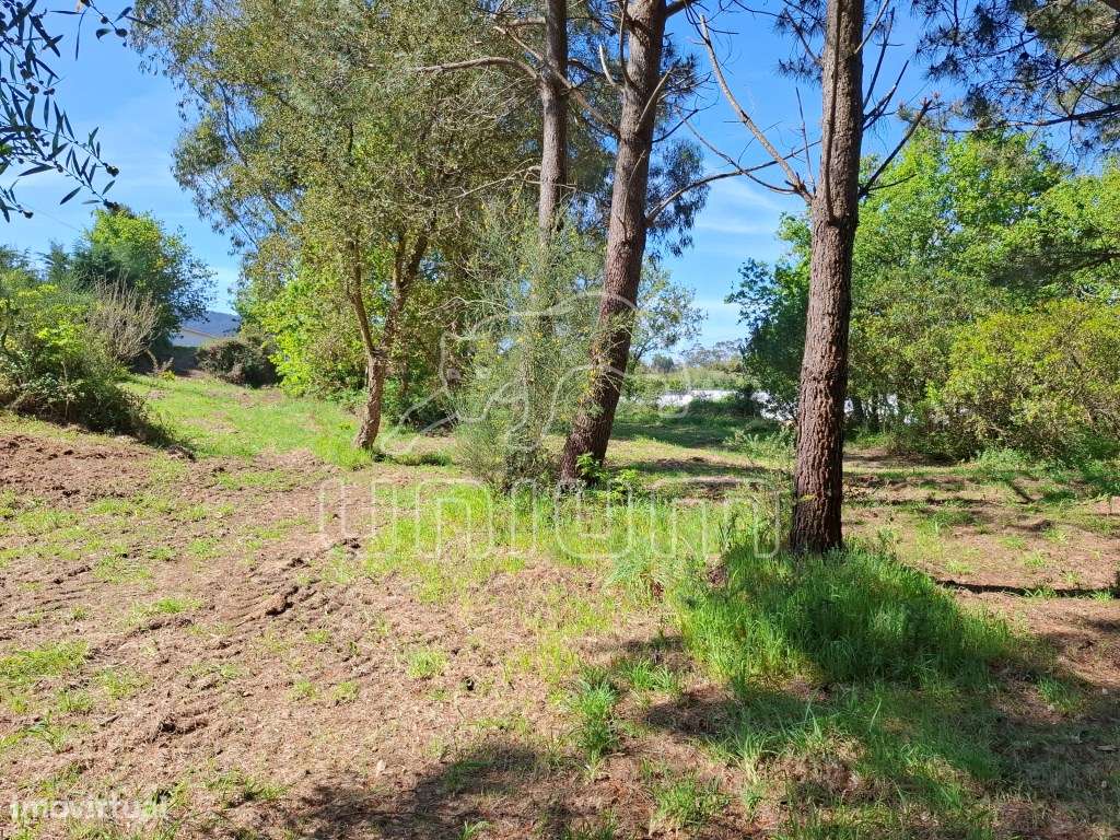 Fabuloso terreno para venda em Seixas-3