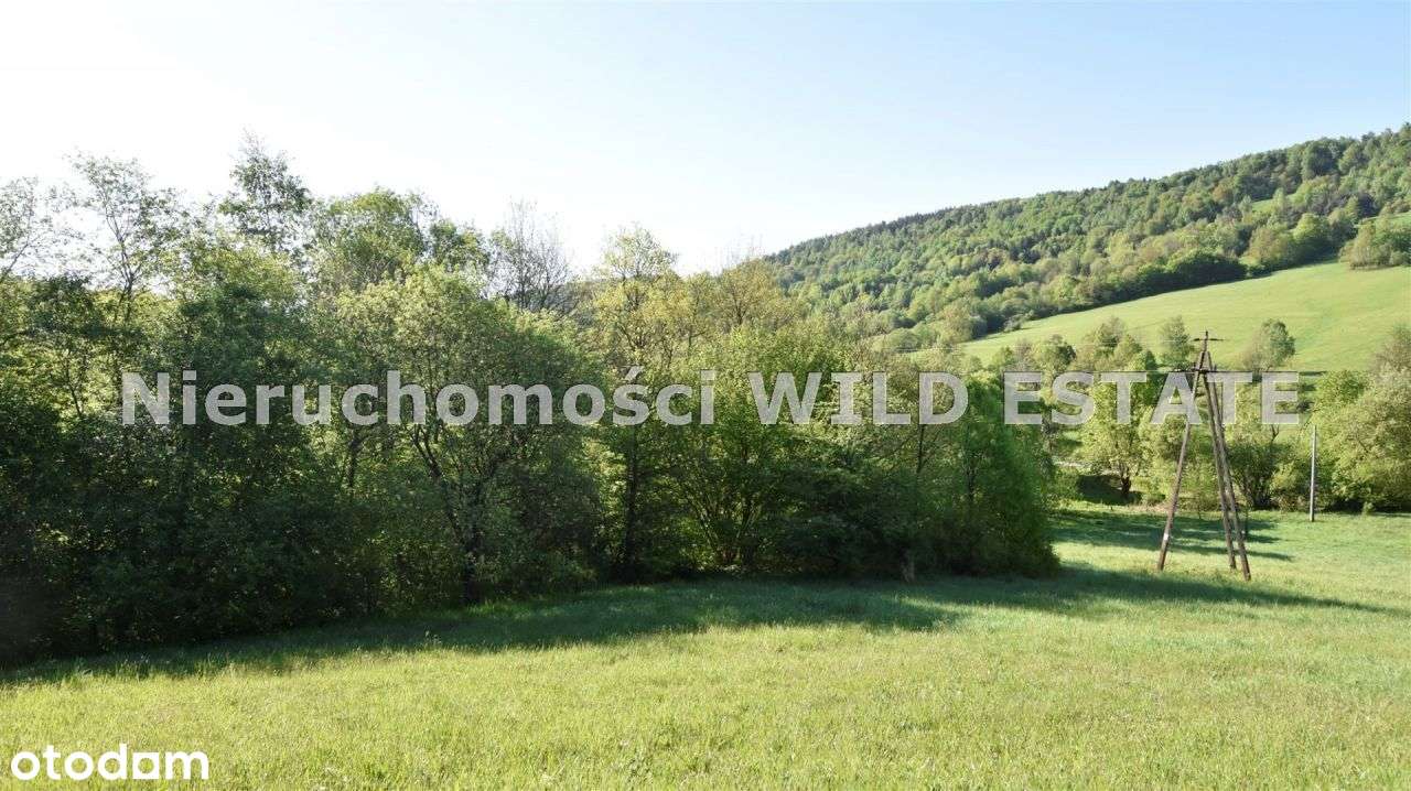 Działka, 6 587 m², Ustrzyki Dolne - Pełny obrazek: 5/8